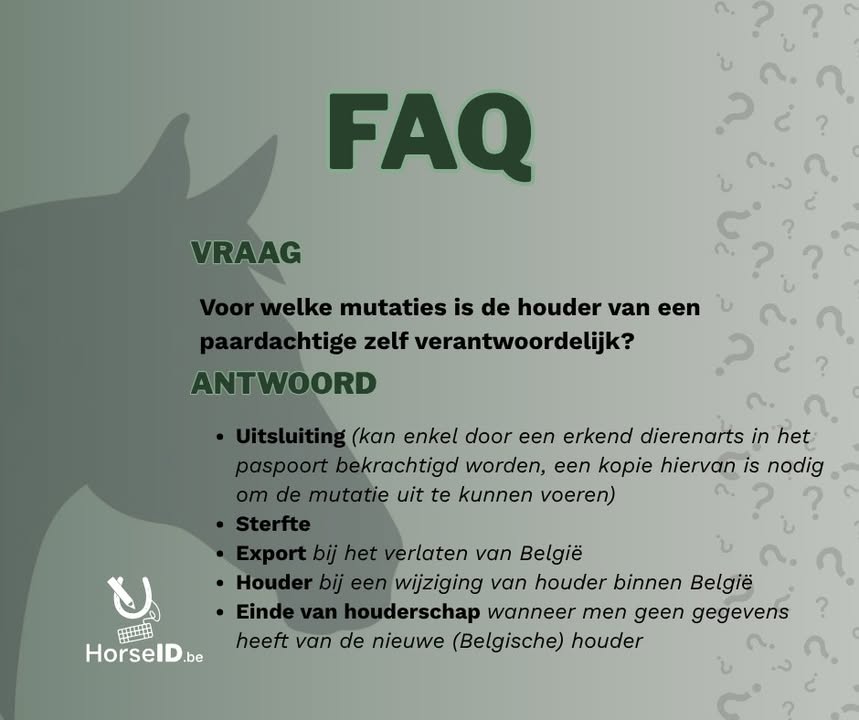 HorseID.be