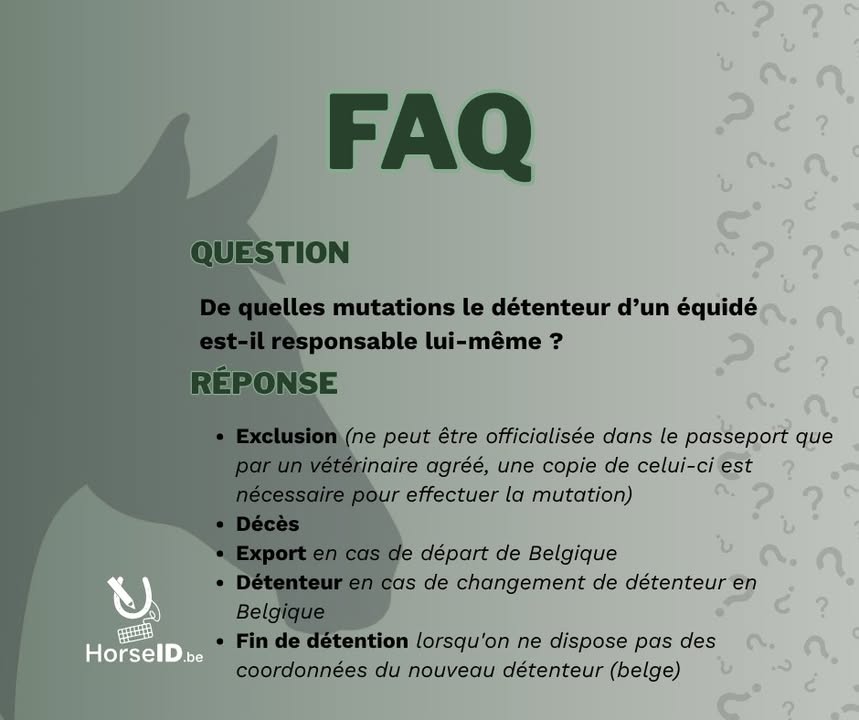 HorseID.be