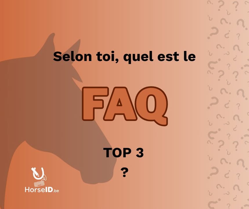 HorseID.be