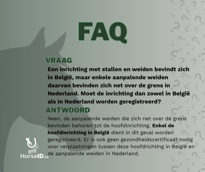 HorseID.be