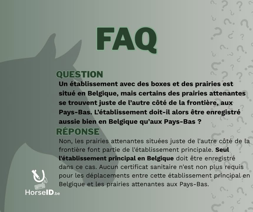 HorseID.be