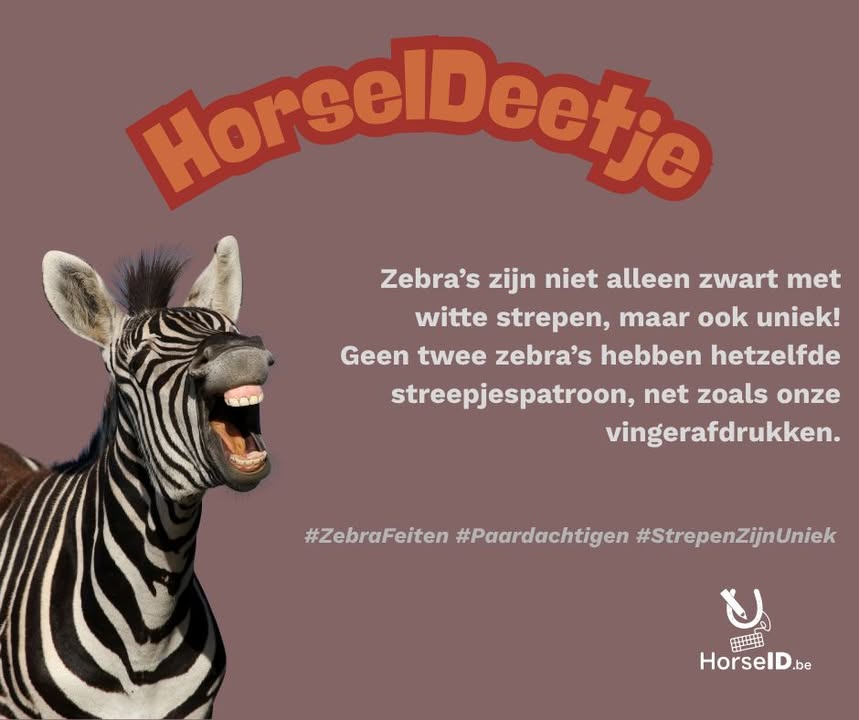 HorseID.be