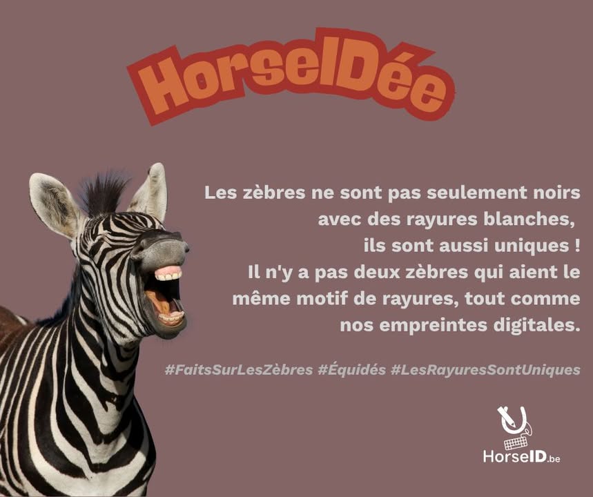 HorseID.be